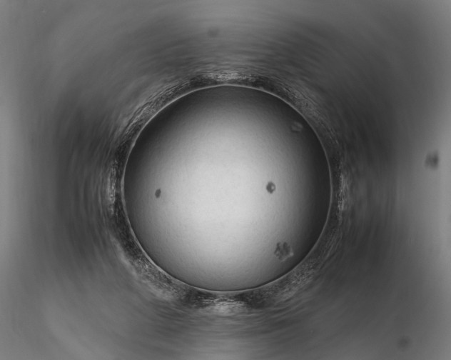 X0000116310210200912141406