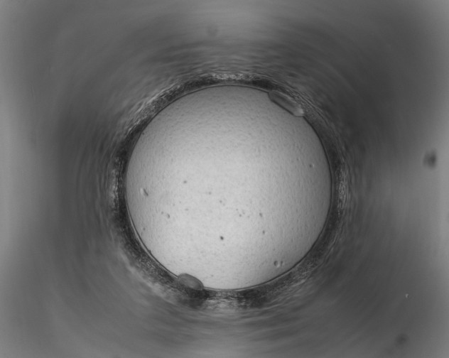 X0000116310211200912141406