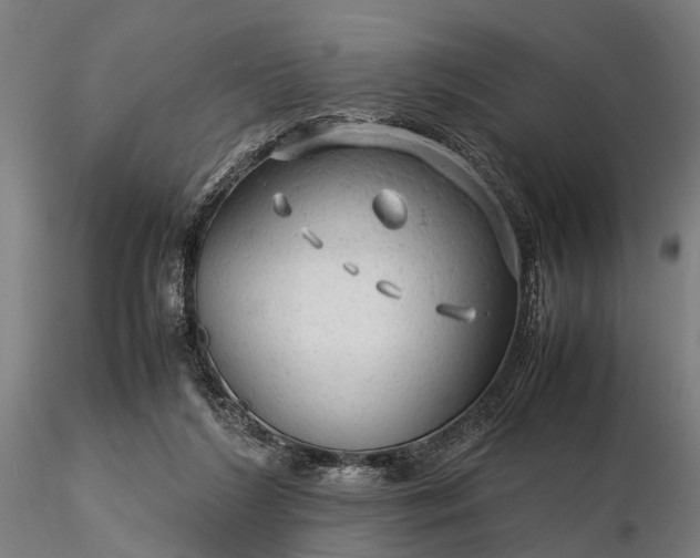 X0000116310212200912141406