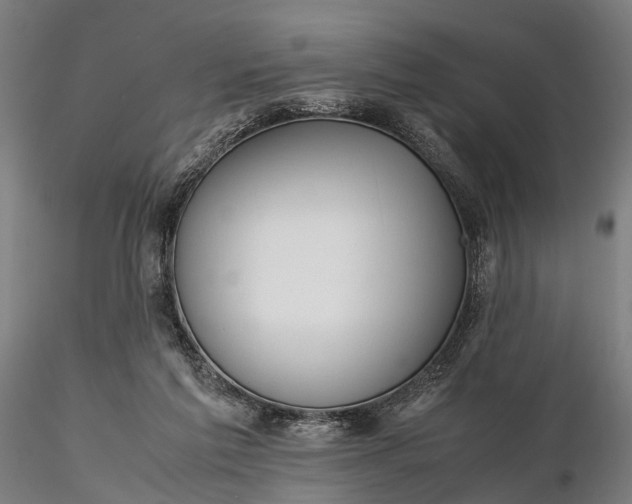 X0000116310213200912141406