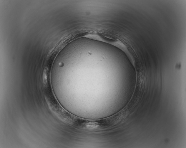 X0000116310214200912141406