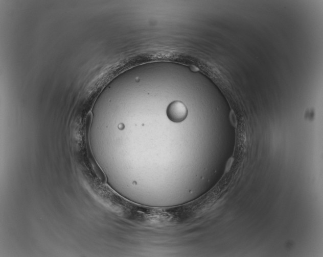 X0000116310215200912141406