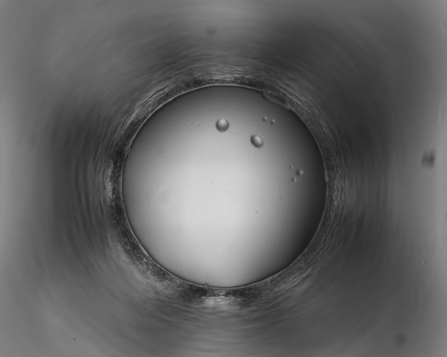 X0000116310216200912141406