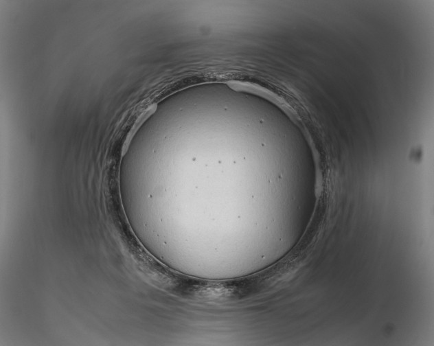 X0000116310217200912141406