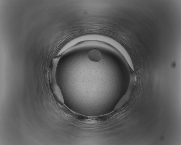 X0000116310219200912141406