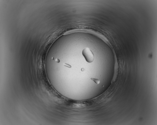 X0000116310220200912141406