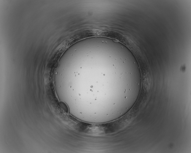 X0000116310221200912141406