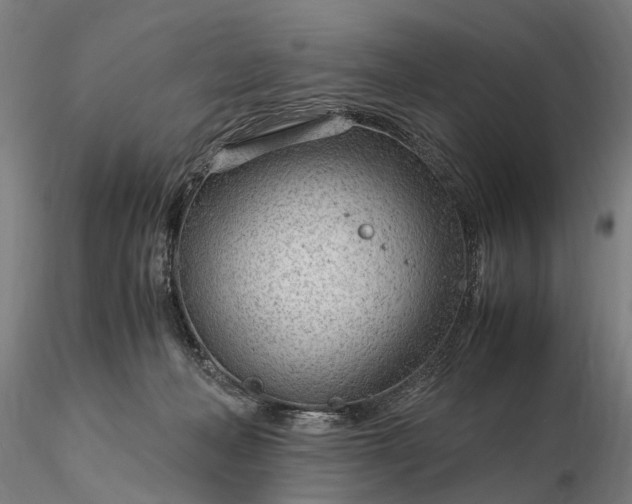 X0000116310222200912141406