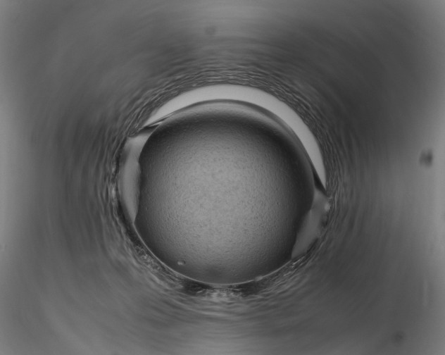 X0000116310223200912141406