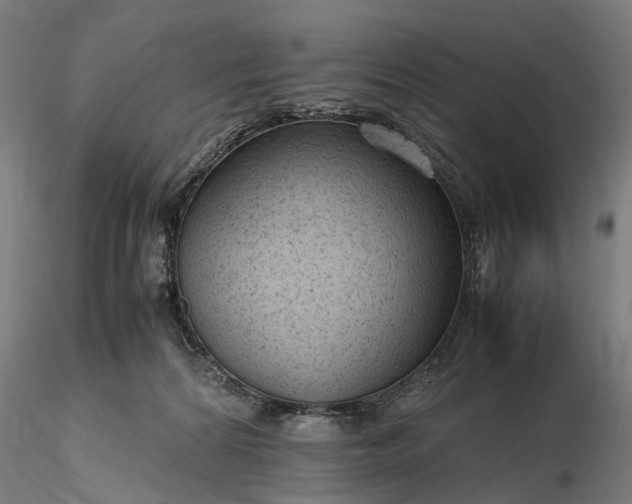 X0000116310224200912141406