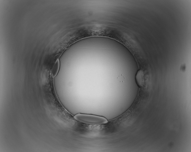 X0000116310225200912141406