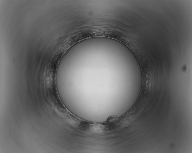 X0000116310226200912141406