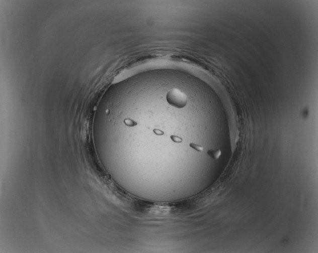 X0000116310227200912141406