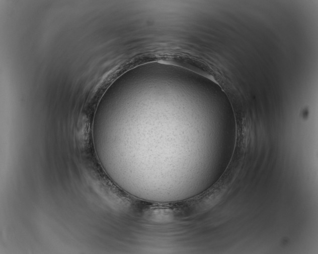 X0000116310228200912141406