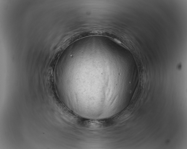 X0000116310229200912141406