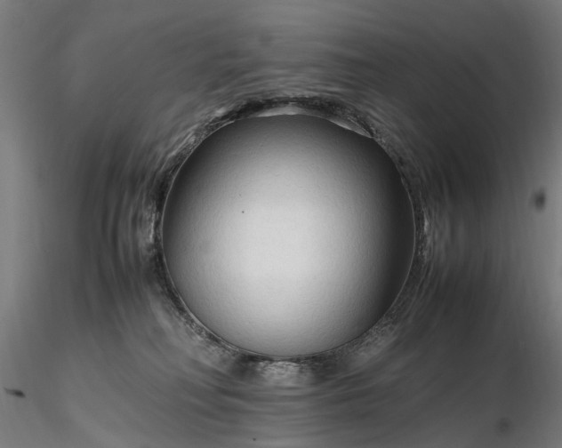 X0000116310230200912141406