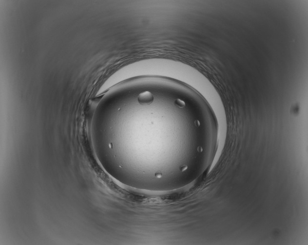 X0000116310231200912141406