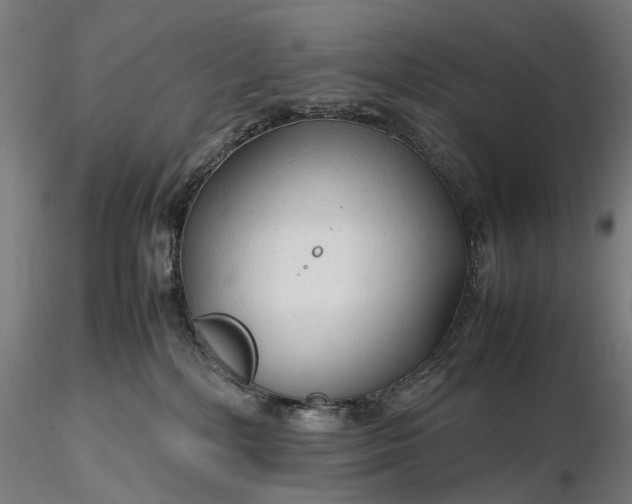 X0000116310232200912141406