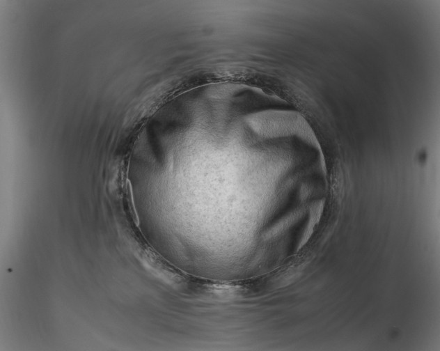 X0000116310233200912141406