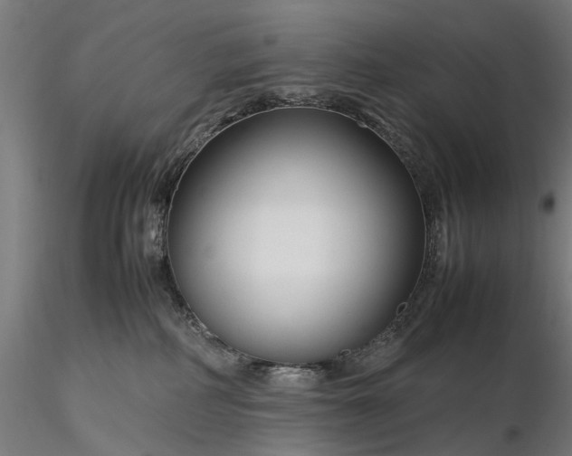 X0000116310234200912141406