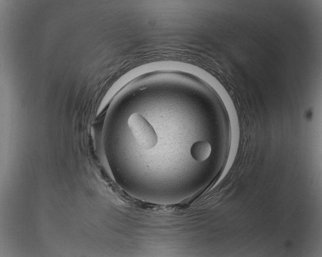 X0000116310235200912141406