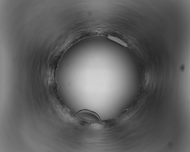 X0000116310236200912141406