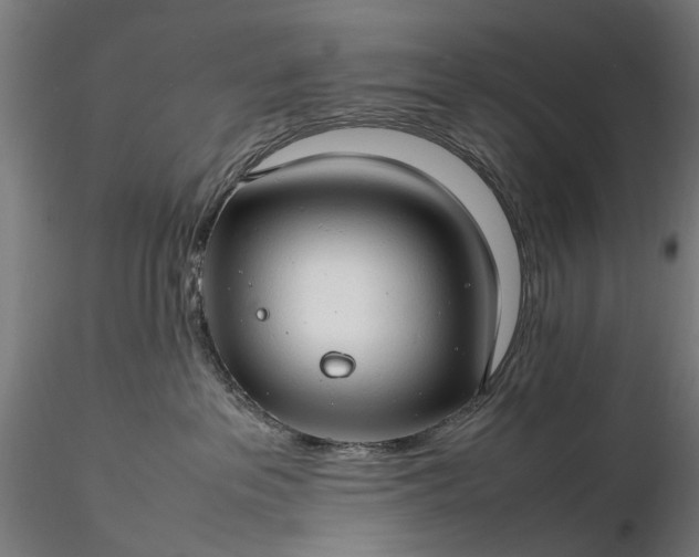 X0000116310237200912141406