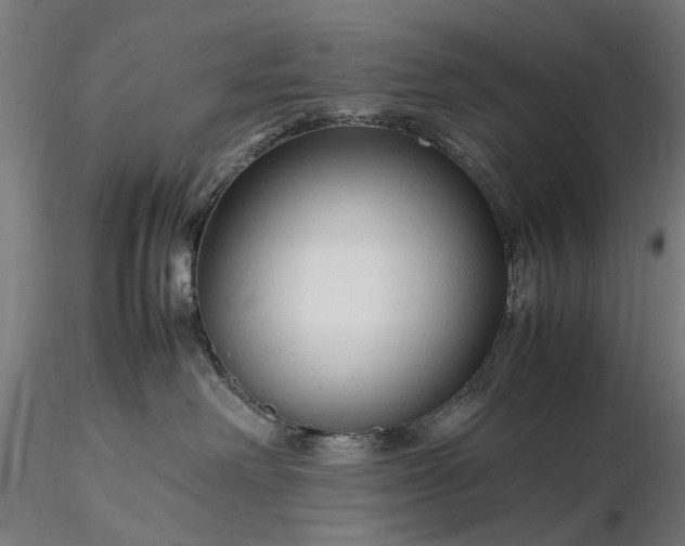 X0000116310238200912141406