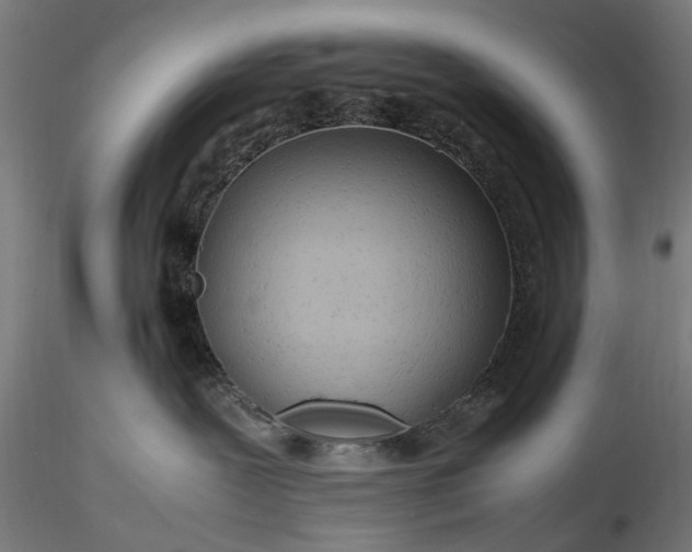 X0000116310239200912141406