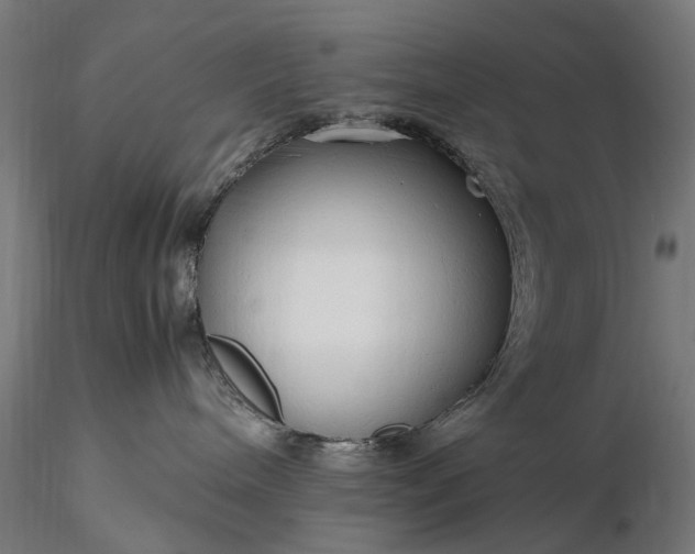 X0000116310240200912141406