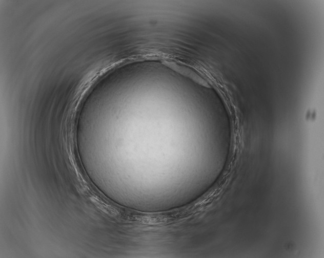 X0000116310241200912141405