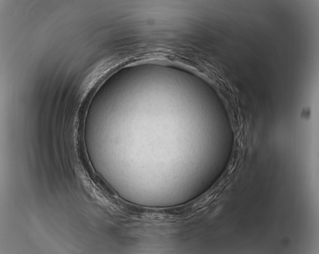 X0000116310242200912141405