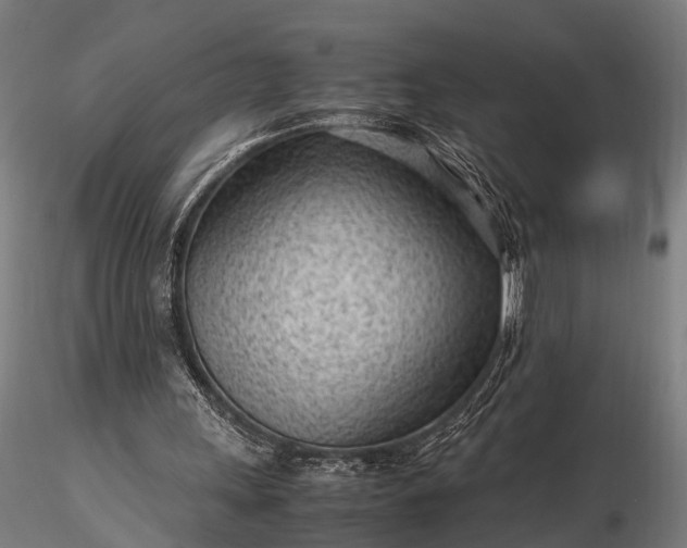 X0000116310243200912141405