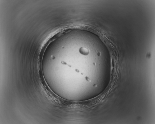 X0000116310244200912141405