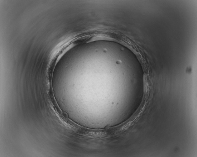 X0000116310245200912141405