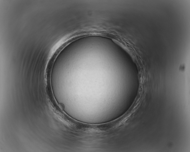 X0000116310246200912141405