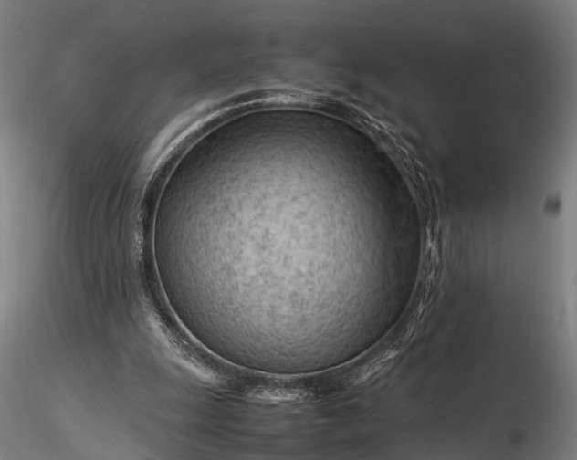 X0000116310247200912141405