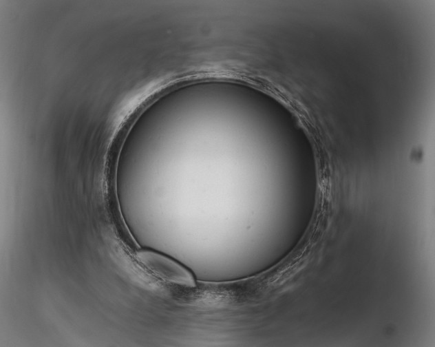 X0000116310248200912141405