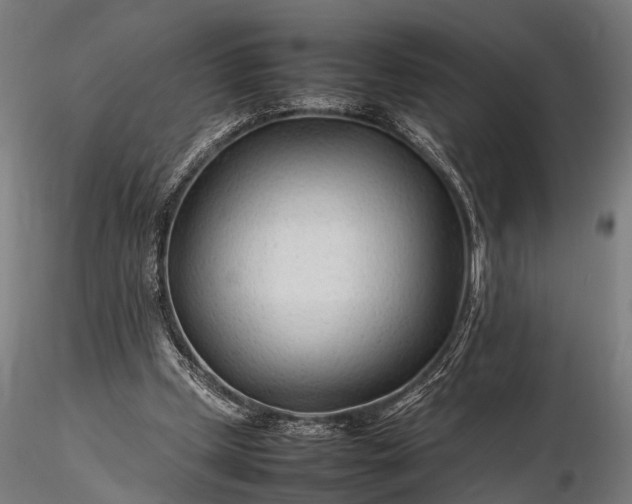 X0000116310249200912141405