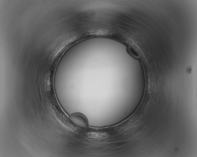 X0000116310251200912141405