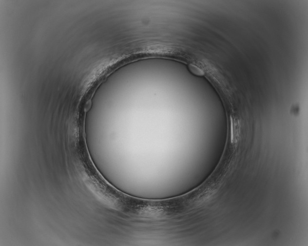 X0000116310252200912141405