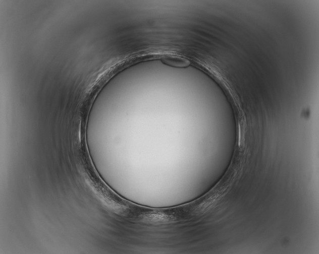 X0000116310253200912141405