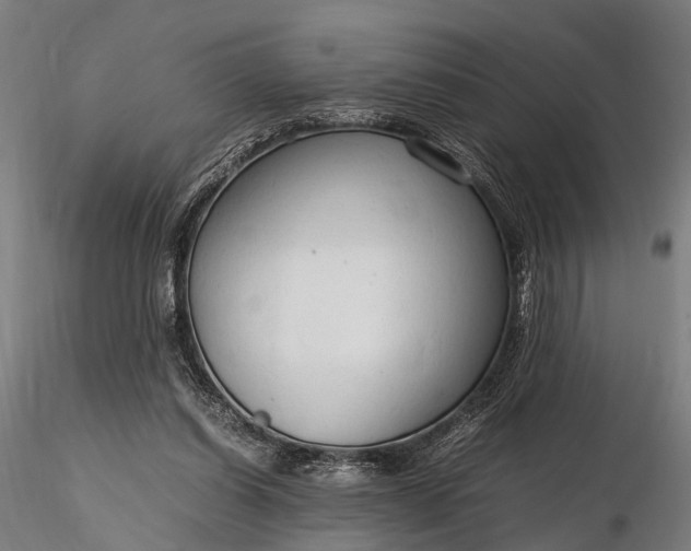 X0000116310254200912141405