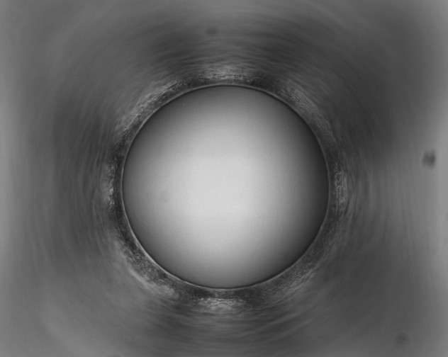 X0000116310255200912141405