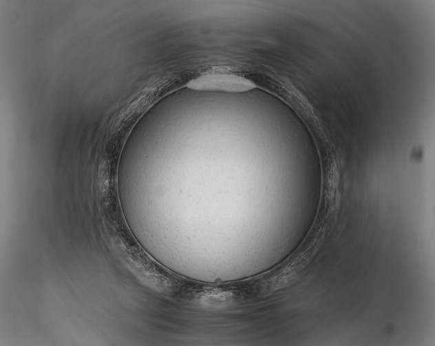 X0000116310257200912141406