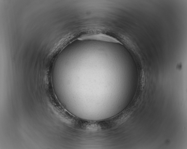 X0000116310258200912141406