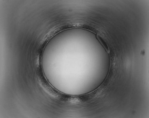 X0000116310262200912141406