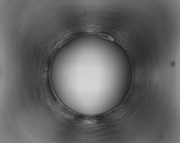 X0000116310263200912141406