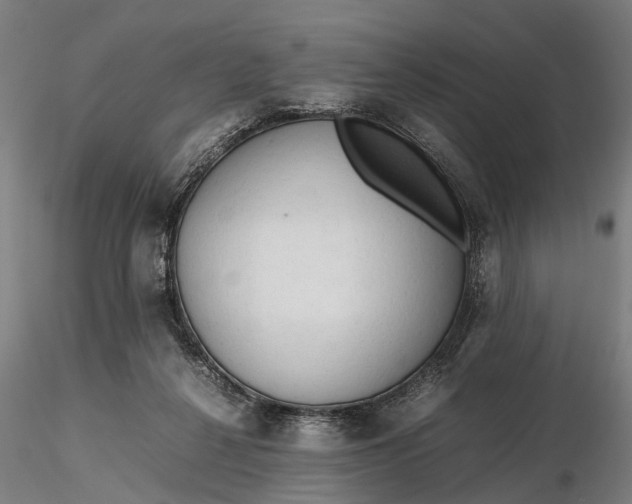 X0000116310264200912141406