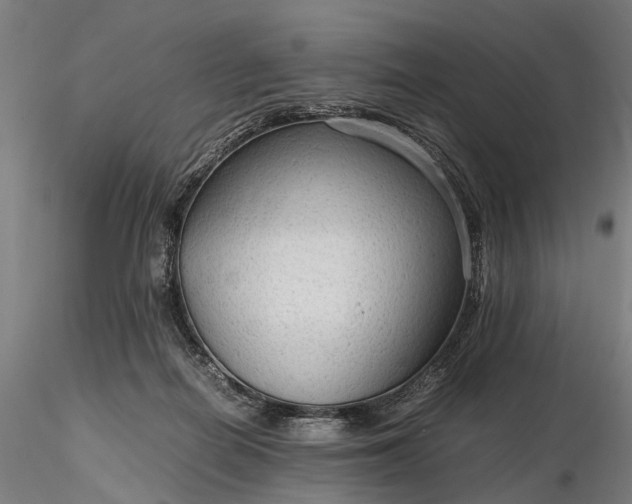 X0000116310266200912141406